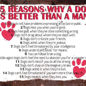 15 Reasons Why A Dog Is Better Than A Man – Vintage Metal Wall Sign