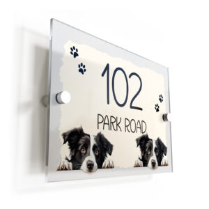 Border Collie Dog Puppy Cream Acrylic House Sign/Plaque - Personalised